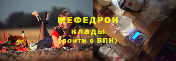 крисы Абаза
