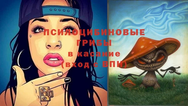 дурь Сатка