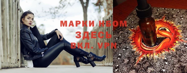 крисы Абаза