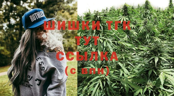твердый Алексин