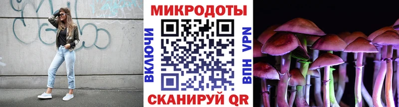 Галлюциногенные грибы Psilocybine cubensis  купить наркоту  Гаджиево 