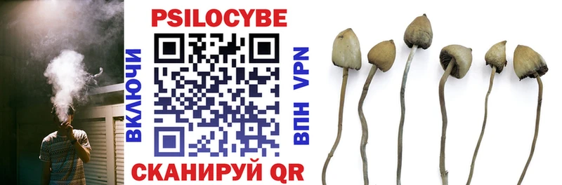Псилоцибиновые грибы мухоморы Гаджиево